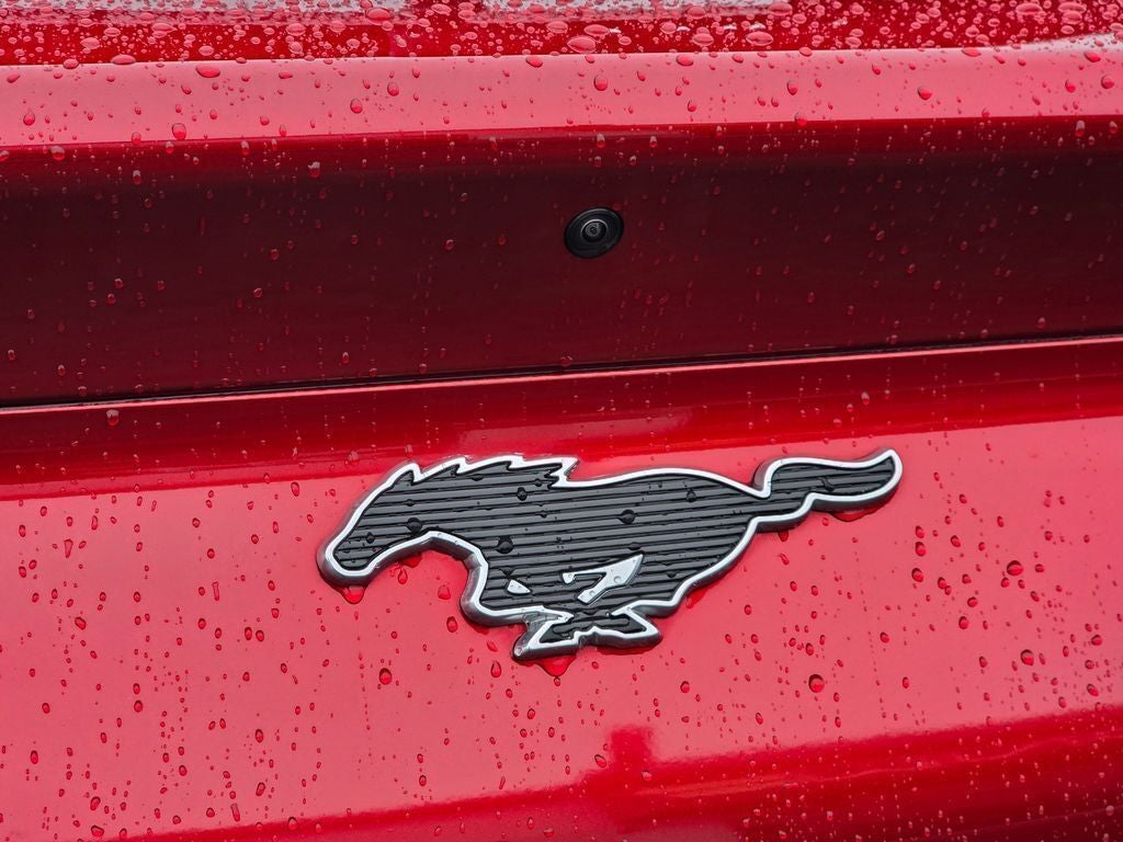 2022 Ford Mustang Mach-E Select