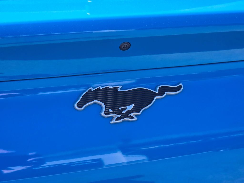 2022 Ford Mustang Mach-E California Route 1